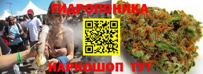 jwh Татарск