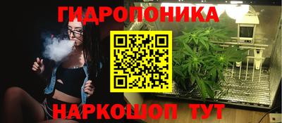 Альфа ПВП Тверь