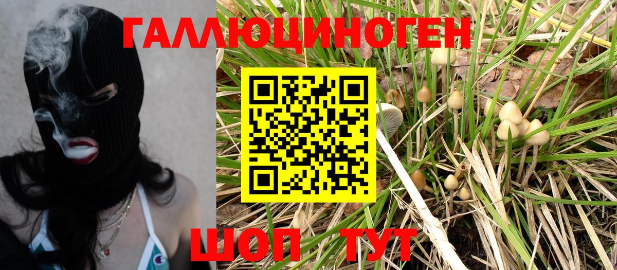 Псилоцибиновые грибы Magic Shrooms Дальнегорск