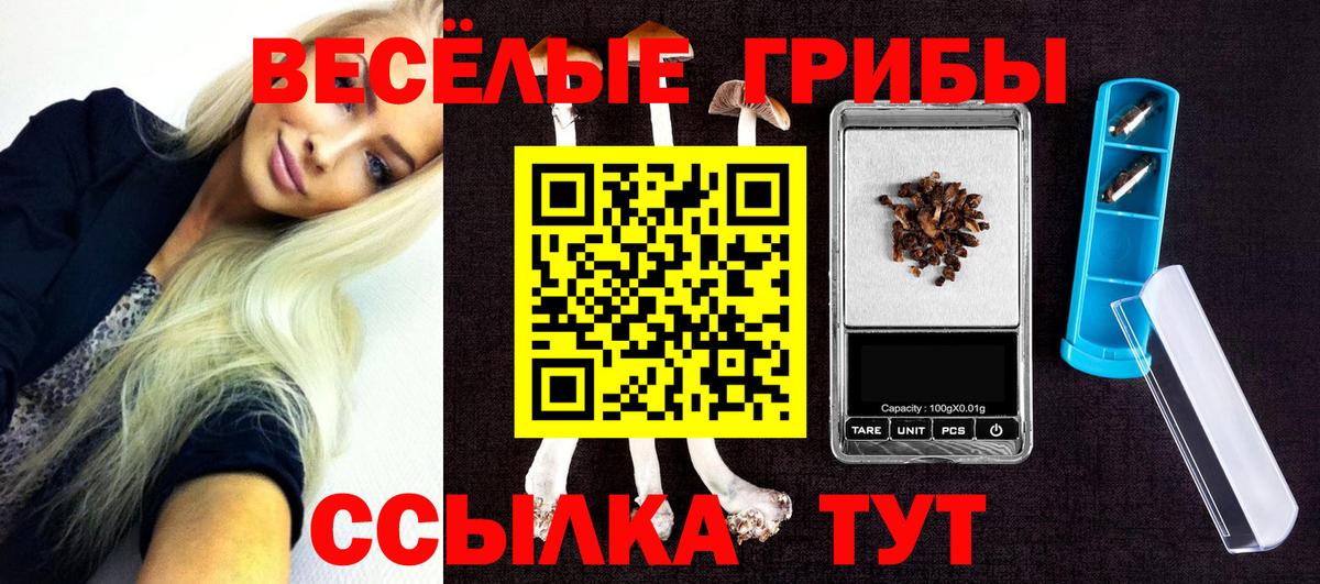 Дальнегорск  Псилоцибиновые грибы Psilocybine cubensis  Псилоцибиновые грибы GOLDEN TEACHER  Вход с VPN 